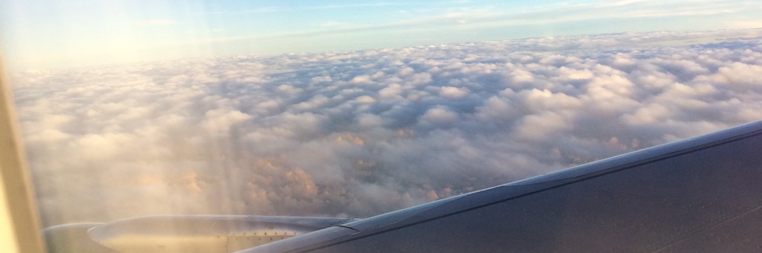 talitha vanda banner