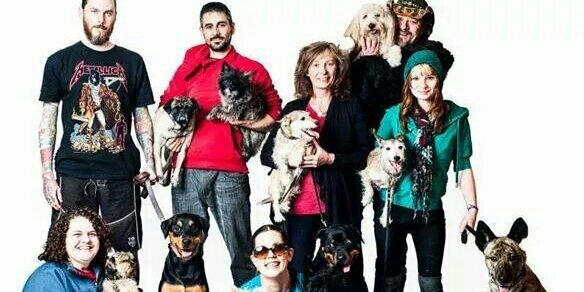SmallWondersTO's profile banner image
