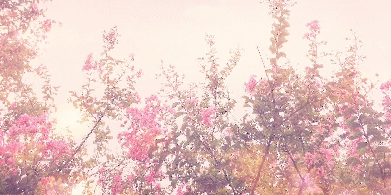iamreneebell's profile banner image