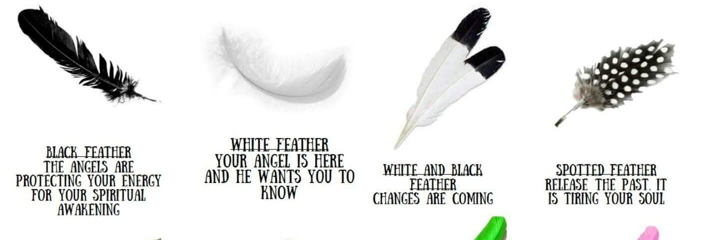 Cosima Maureen banner