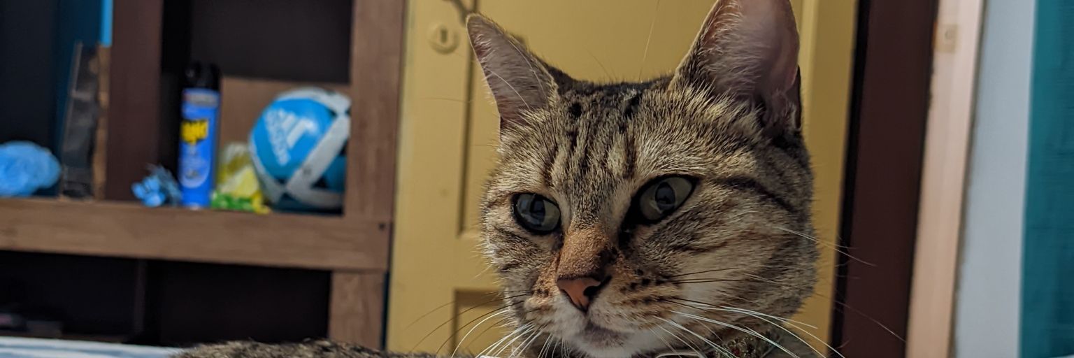 FedeLezcanoOk's profile banner image