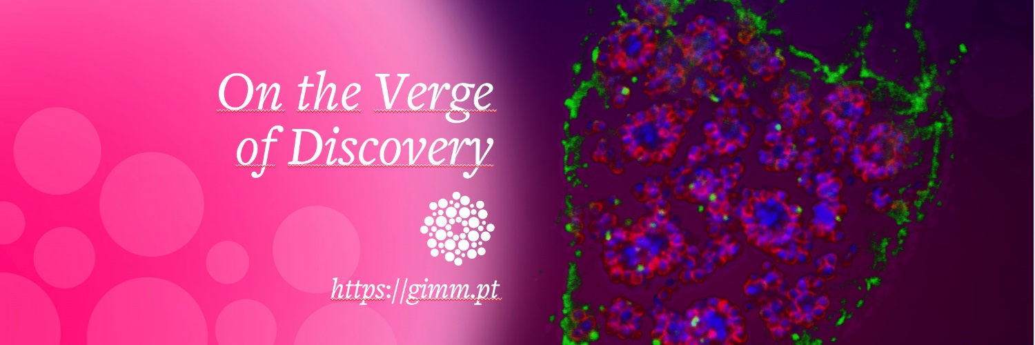 Maria M. Mota banner