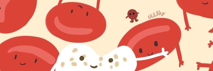 AleSkamiyah's profile banner image