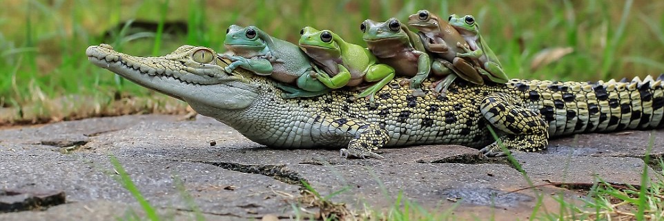 惣菜と時短 banner