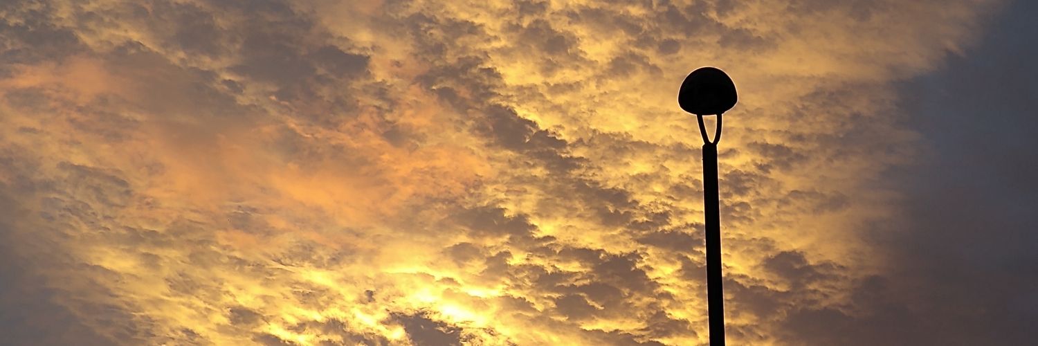 maurocargo's profile banner image