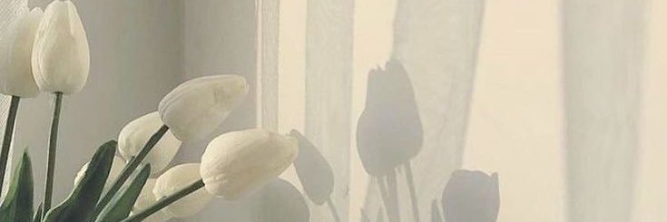 യChompoo banner