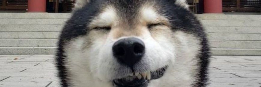 川添公二@6月13日、14日ABCホールにてネバーランド年代記✨🧚‍♀️🤍 banner