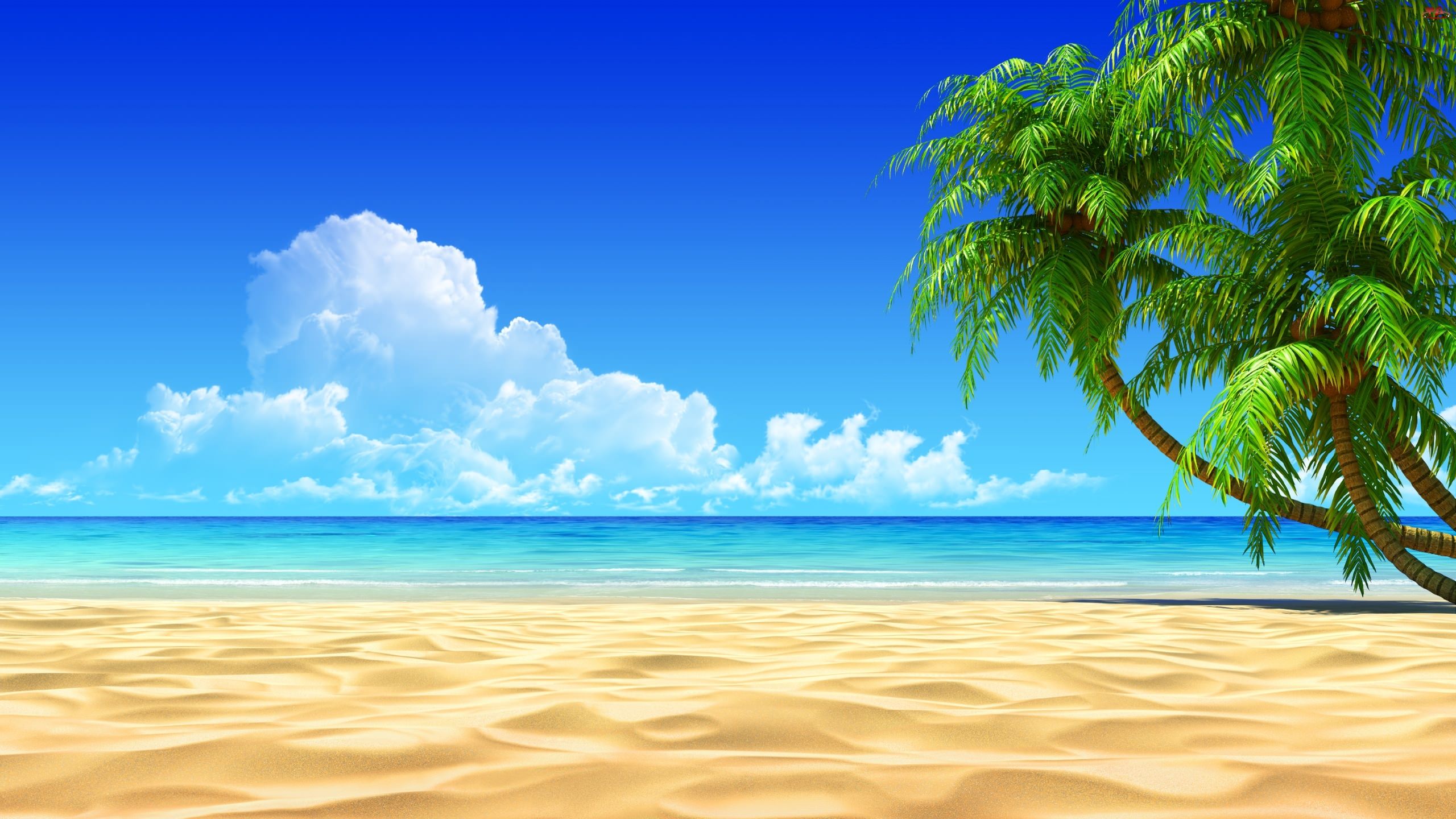 Sei_Ya0413's profile banner image