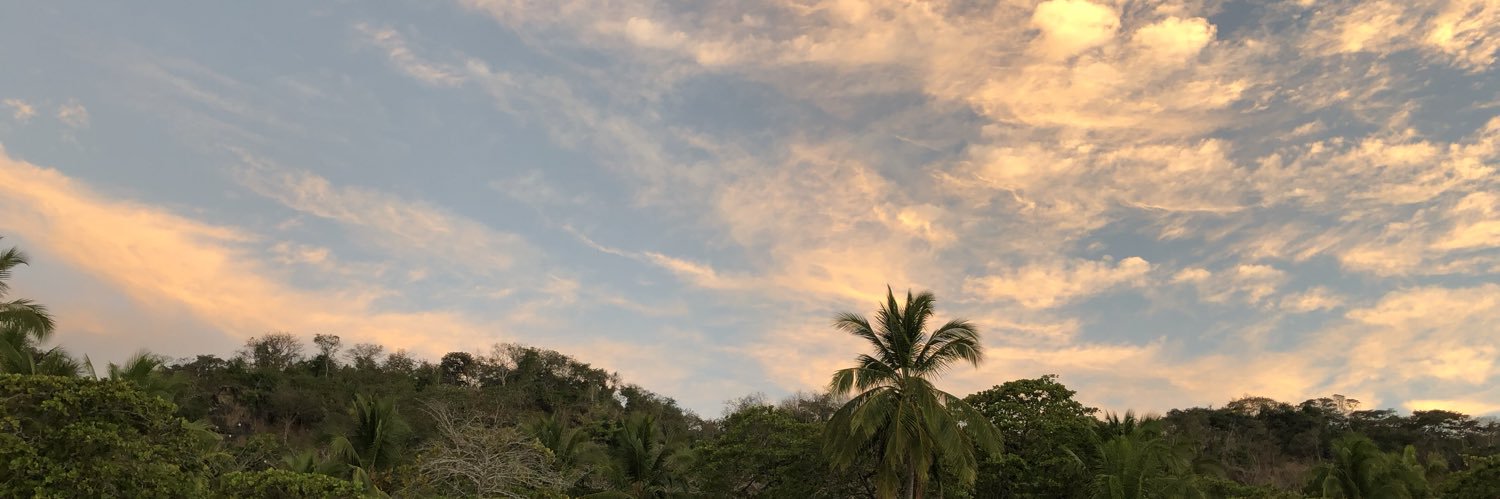madezeron's profile banner image