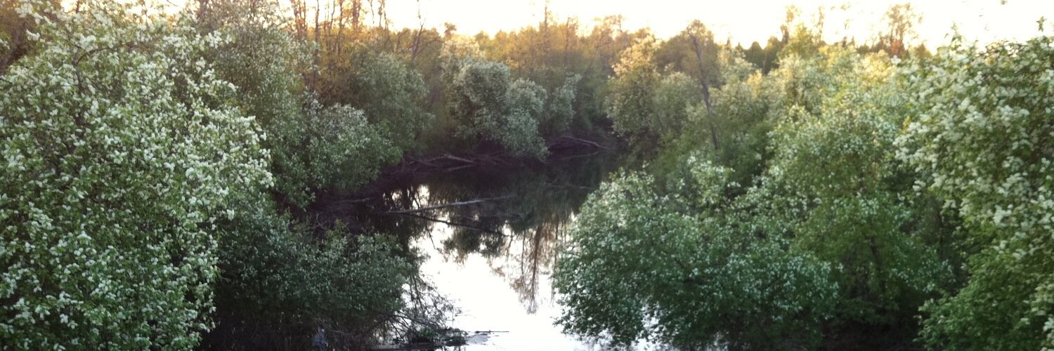 Ieva Lāce-Lukševica banner