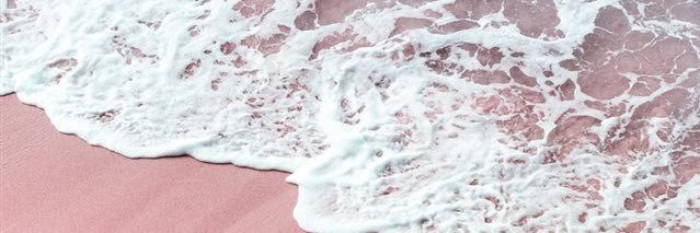 rosethr2's profile banner image