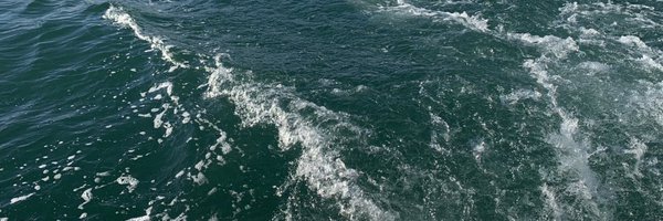 daniel_sndvs Profile Banner