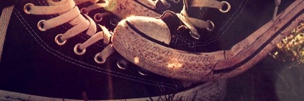 Dees banner