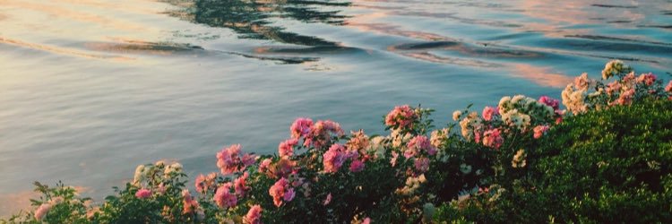 rawansaalh's profile banner image