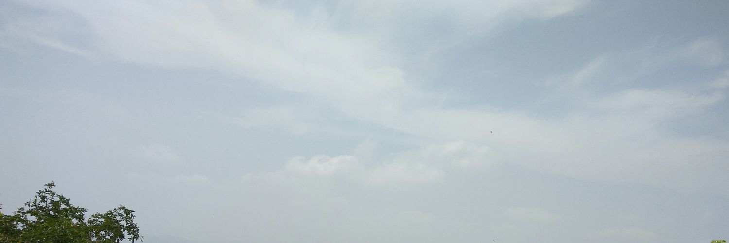 Ruchi banner
