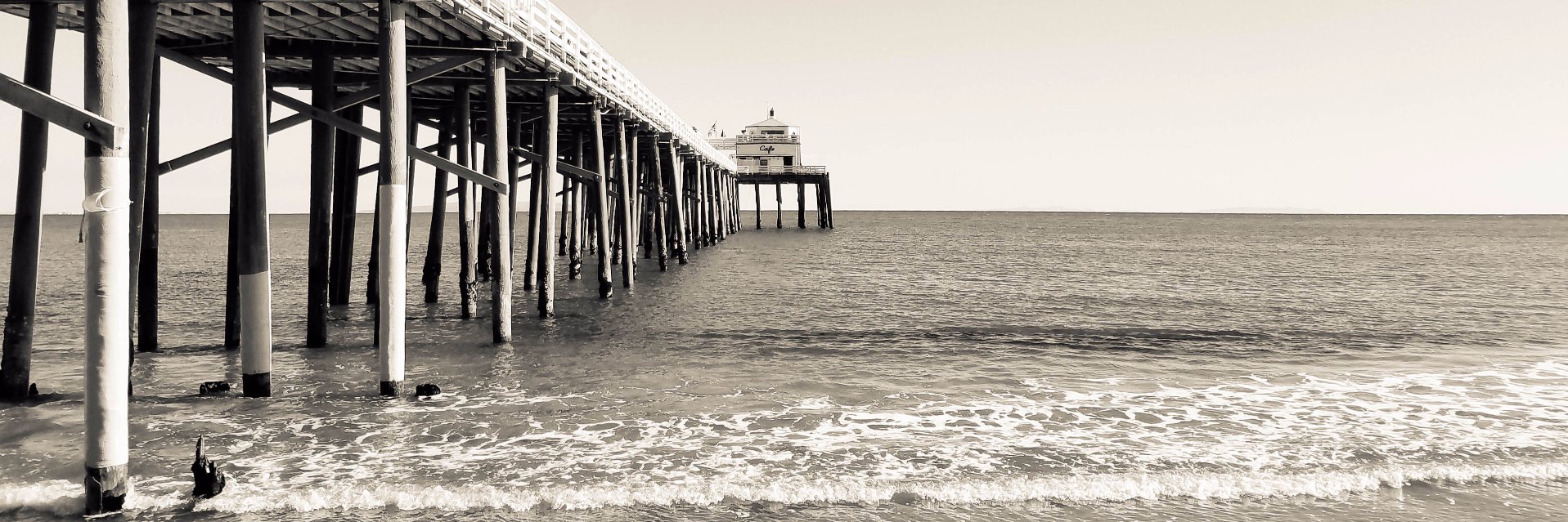 Michael Steele banner