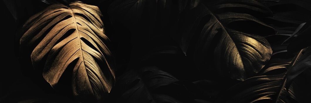 temiolukanni's profile banner image