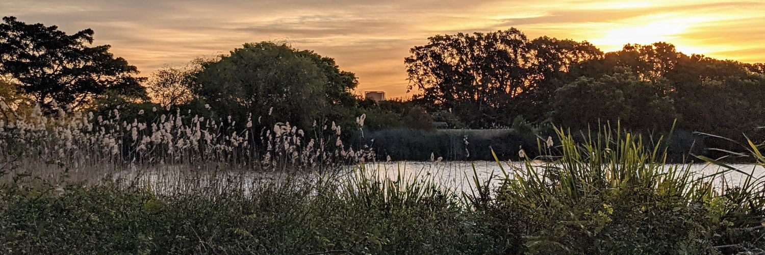 JeanetteBrokman's profile banner image