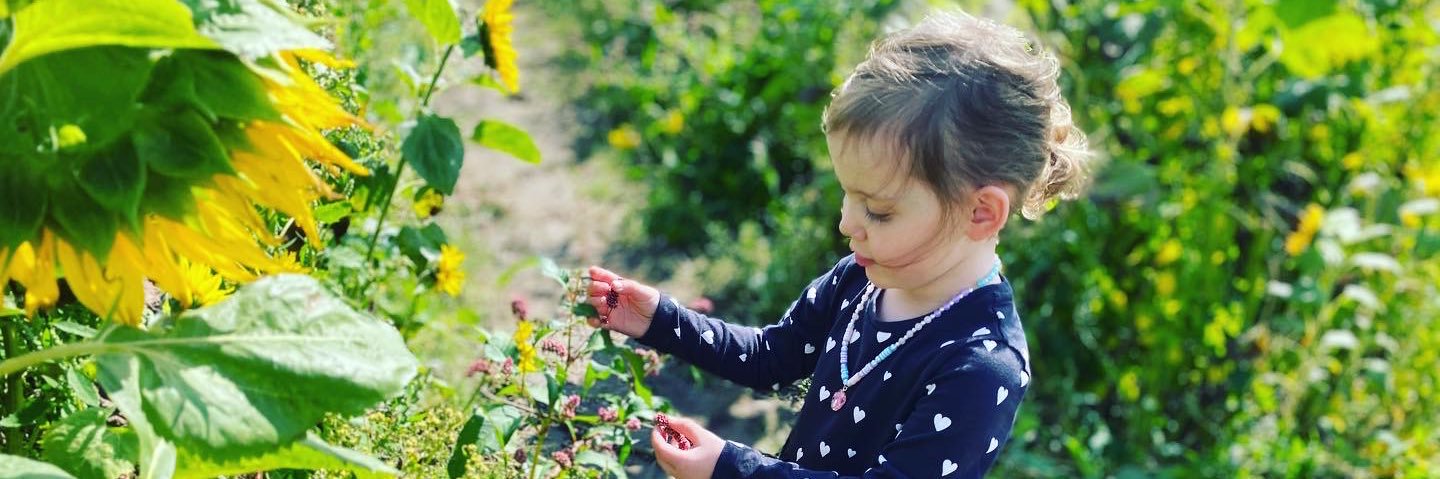 DanielleWhitby banner