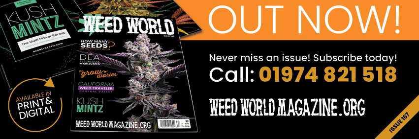 Weed World banner