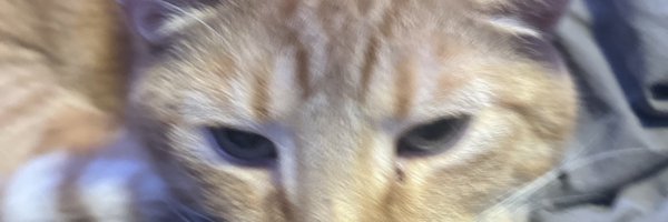 OneManAlliance Profile Banner