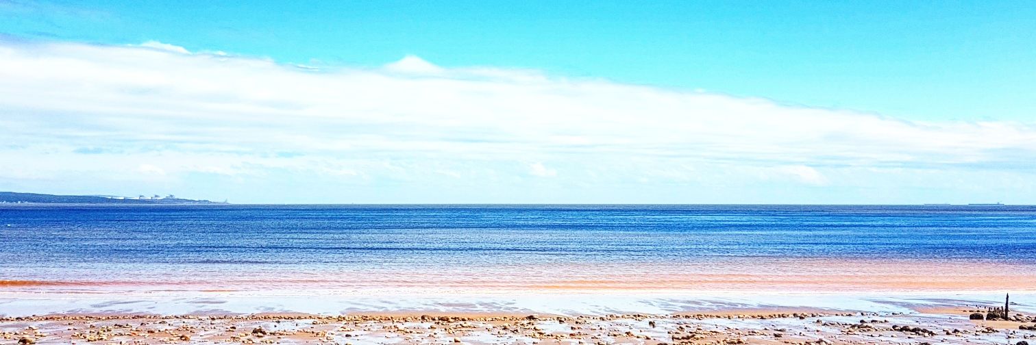 the_shark13's profile banner image