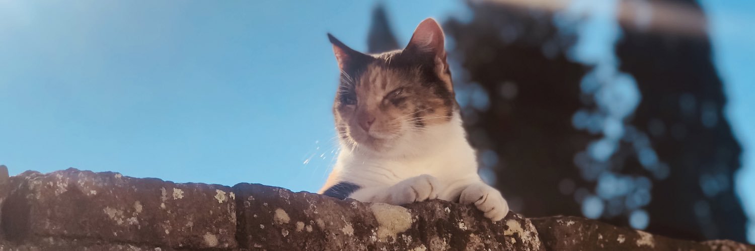 Carobarbato2's profile banner image