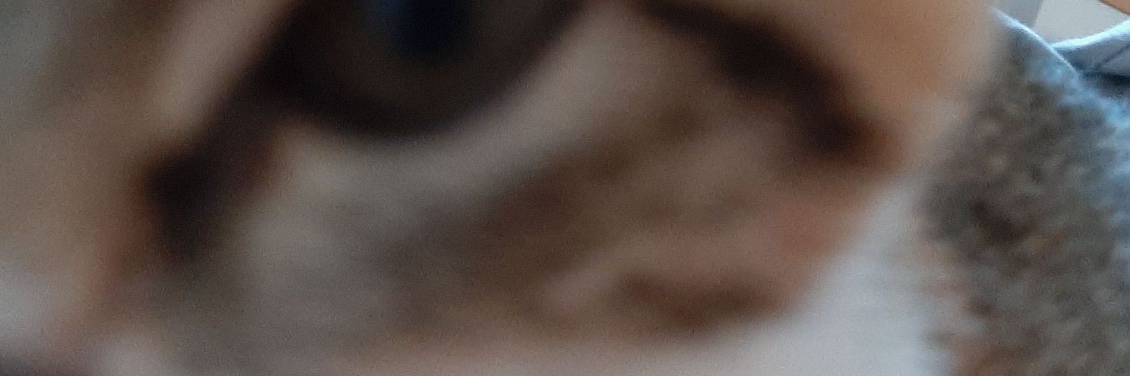 Rivanks1's profile banner image