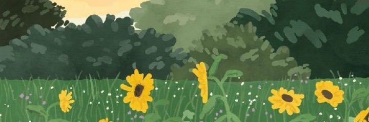 hanijrola's profile banner image