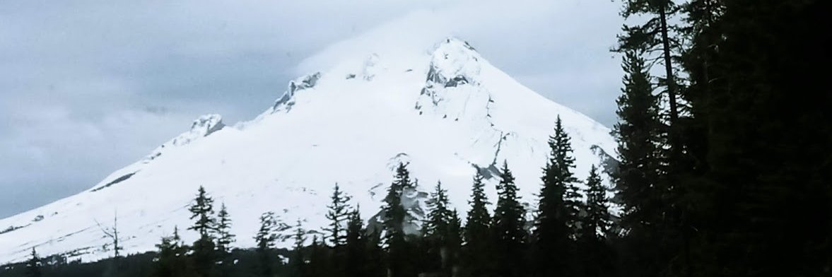 Jill Vernon banner