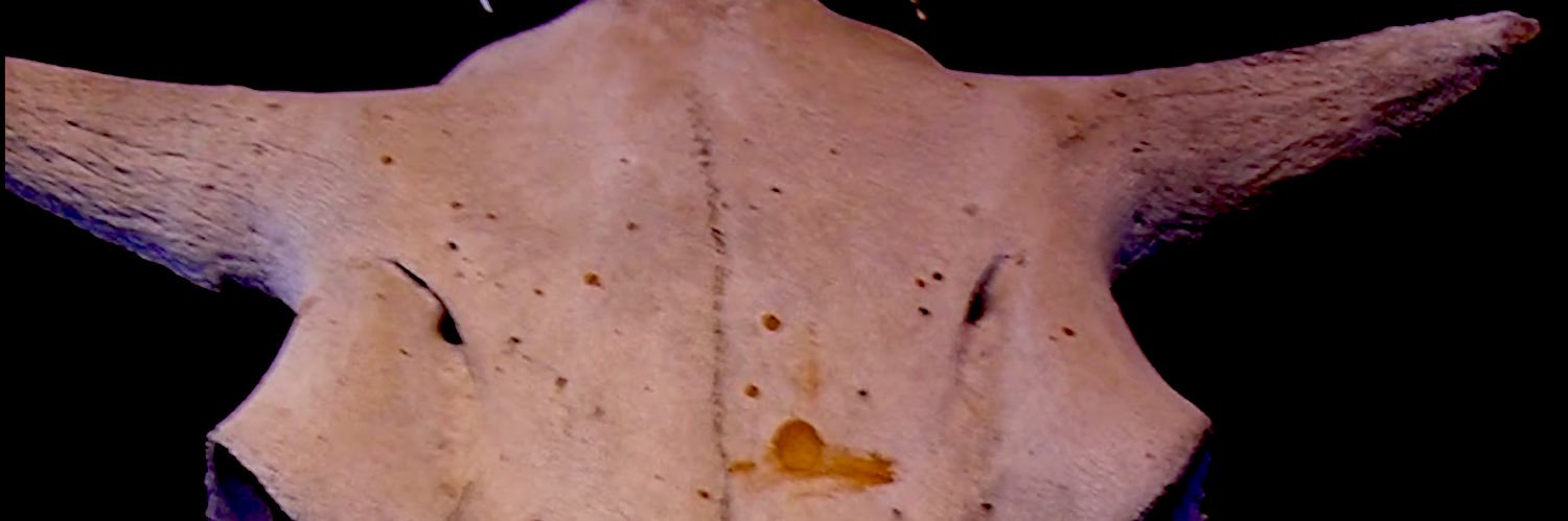 Luarskii's profile banner image