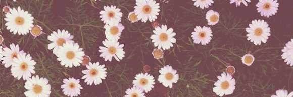 __CarlaDaniela's profile banner image