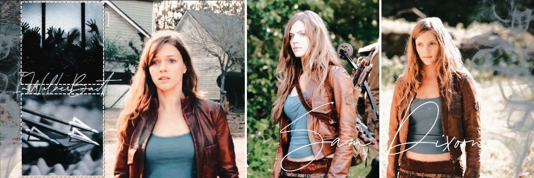 Sam Dixon (parody) banner