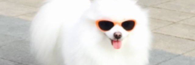 berrilystarted's profile banner image