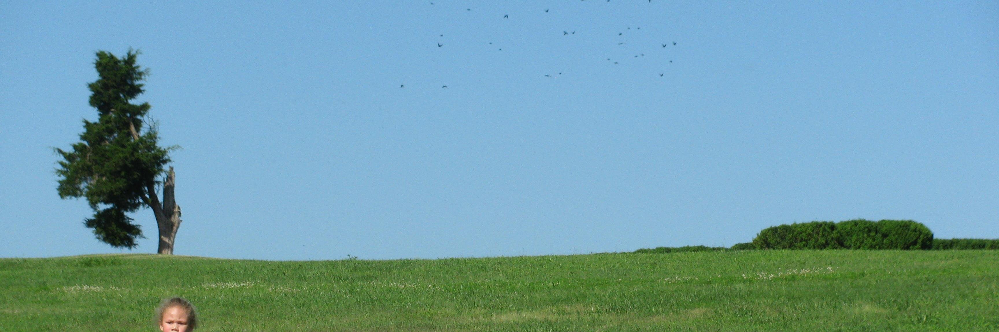 Marcus Whaley banner