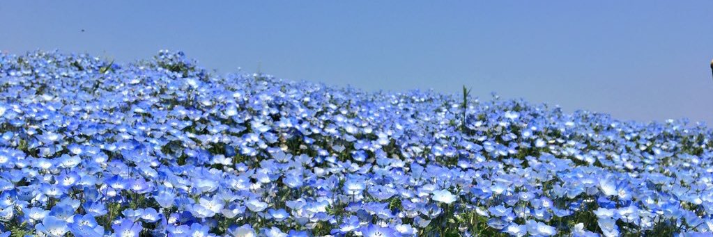 NOBOmako's profile banner image