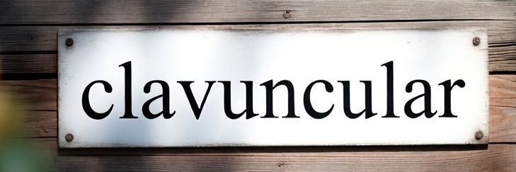 clavuncular's profile banner image