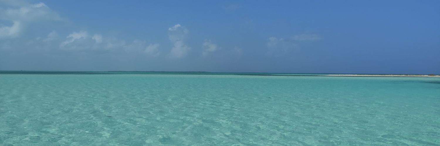 sercedma's profile banner image