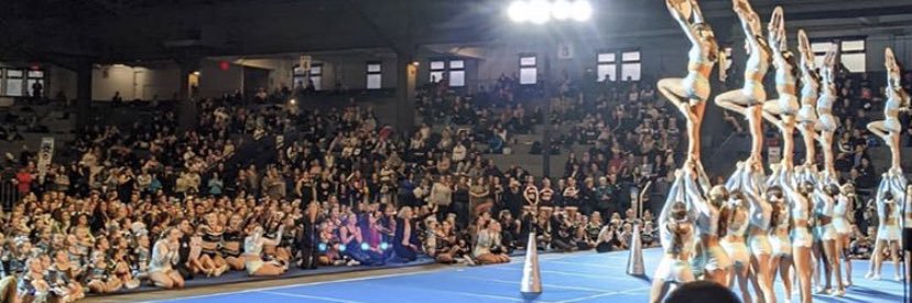 The VAS Ice Queens banner