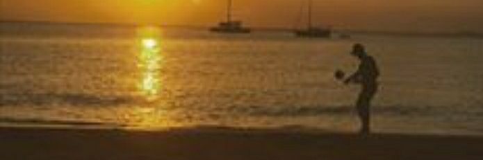 Adam Bicknell banner