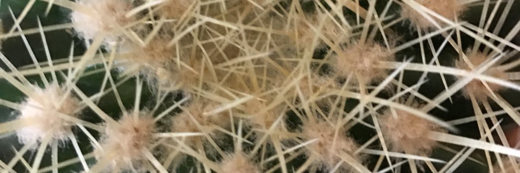 igorgigori's profile banner image