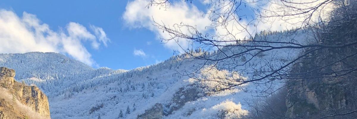 ridhorasyid's profile banner image