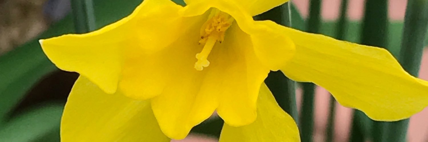 drummondestlack's profile banner image