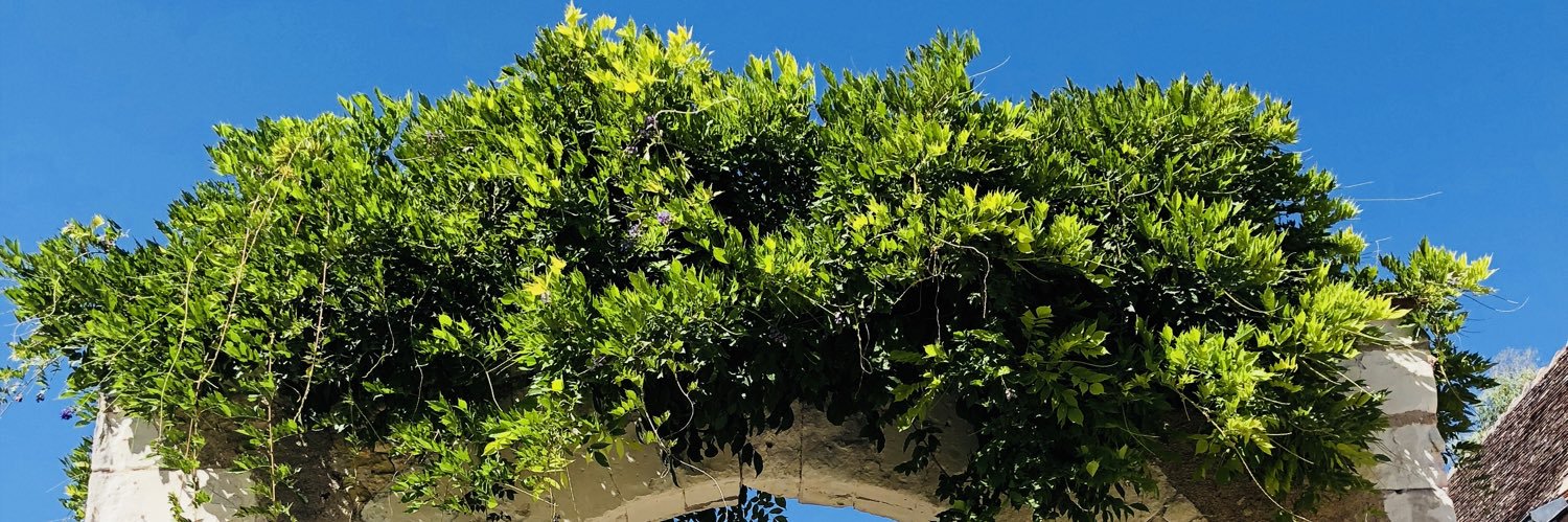 CBChumbley's profile banner image
