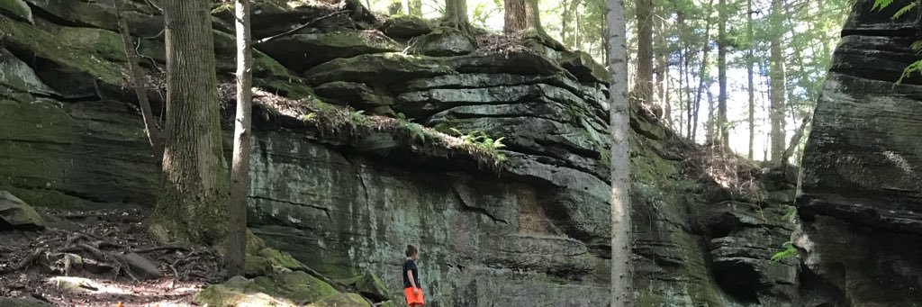 jaderobe's profile banner image