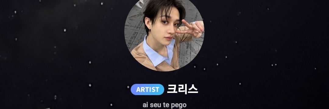 Carla viu o SKZ • DO IT • CB97 🐺 (@everdaybangchan) / Posts / X
