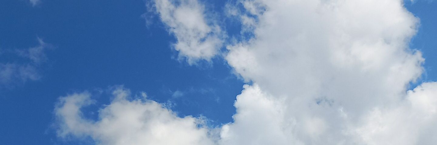 Sebastian Castillo Luna banner