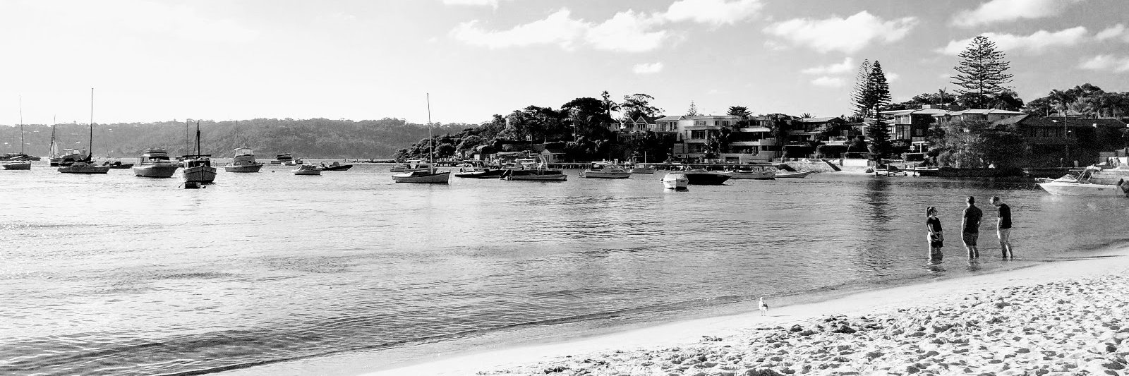 danielrostron's profile banner image