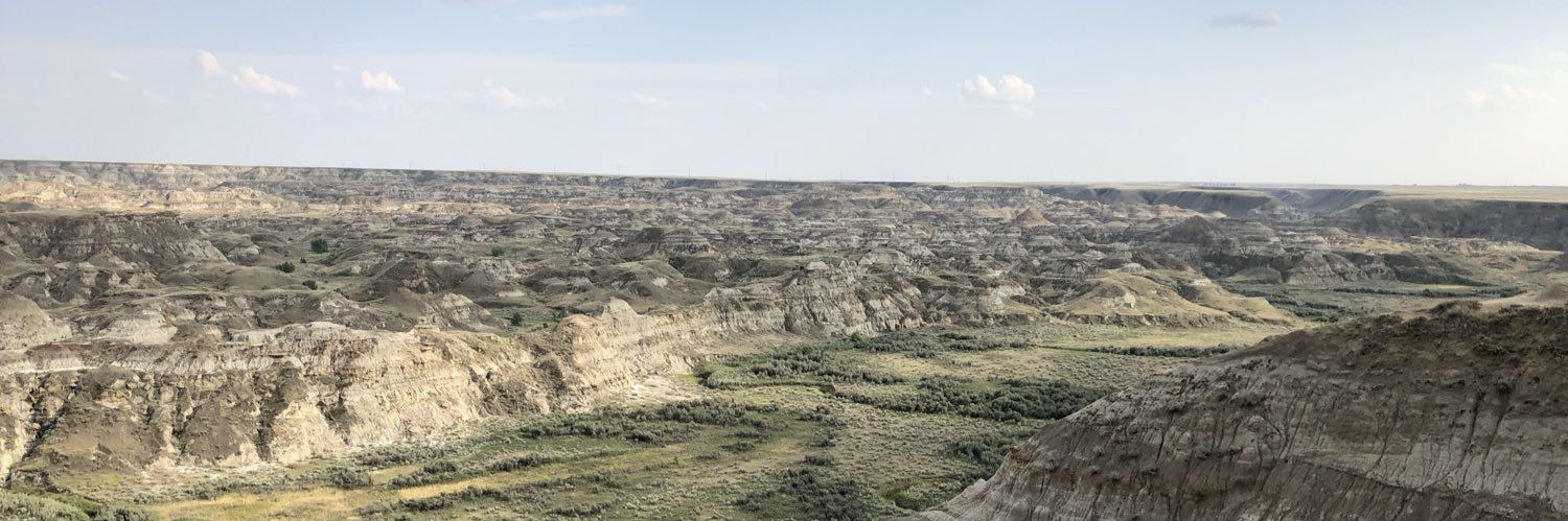 Graham Collier banner