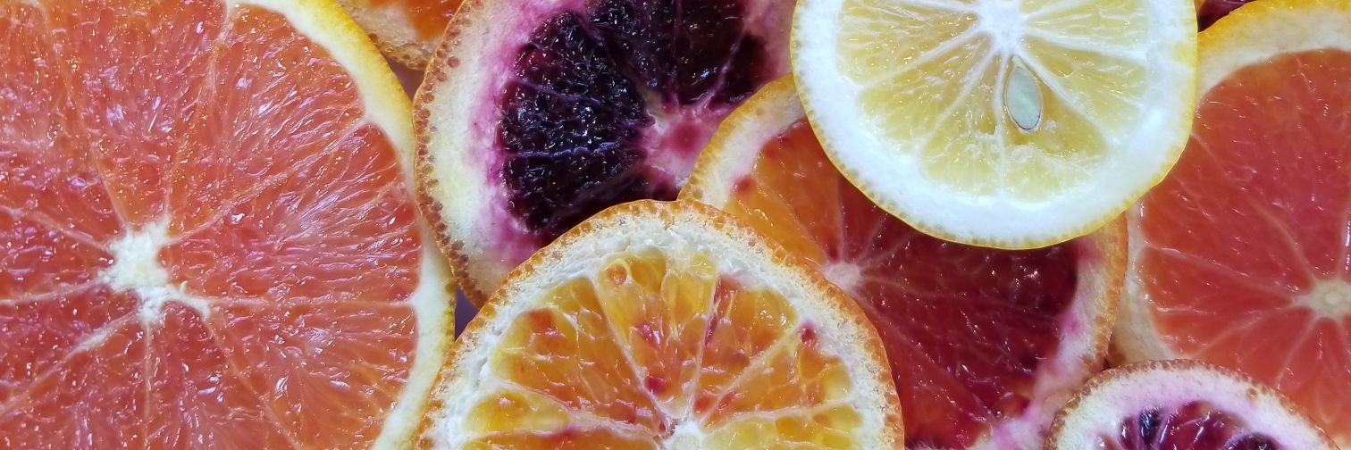 cc_clementine's profile banner image